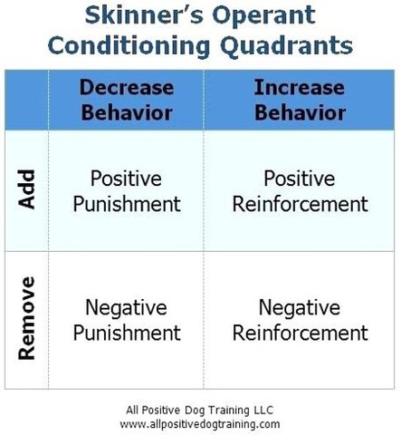 Condicionamiento Operante_ Skinner (1904 – 1990)