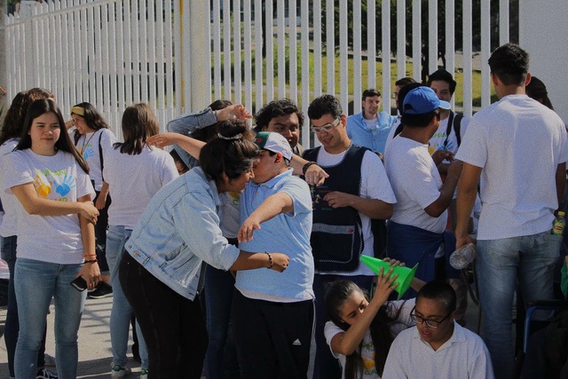 Desarrollar Inclusión (Amigos del Down)