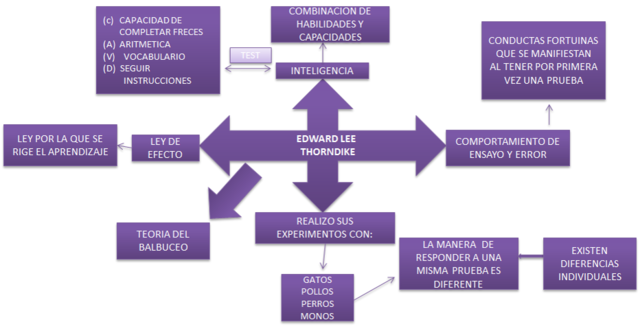 Edward Thorndike (1874 – 1949)