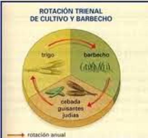 Crecimiento demográfico