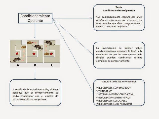 Condicionamiento operante