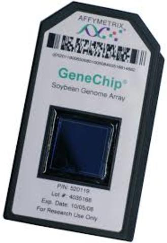 The GeneChip is developed