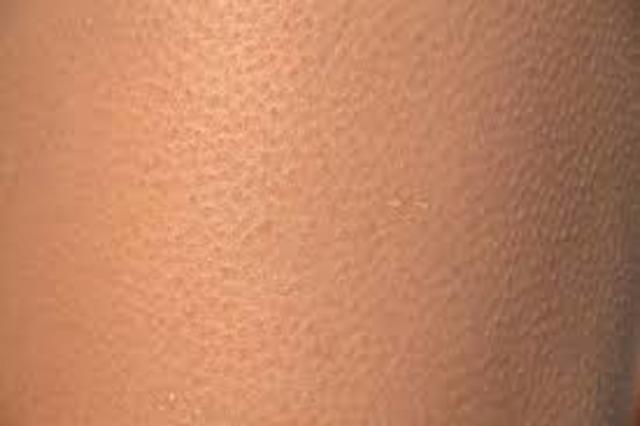 Human skin is produced for the first time in the lab.