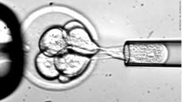 Federal Funding for Research on Embryonic Stem Cells is freed up