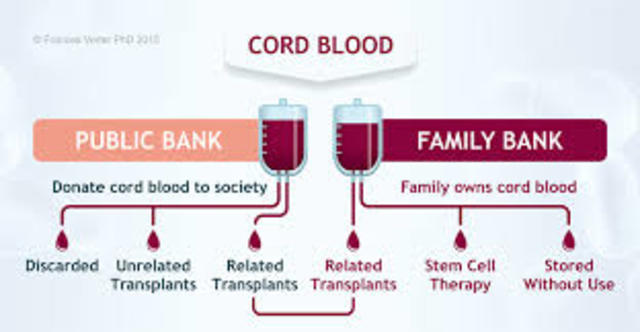 The First Cord Blood Therapy is Approved