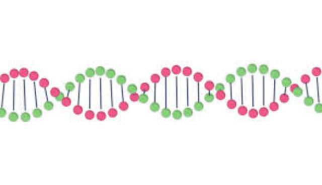 James D. Watson and Francis Crick