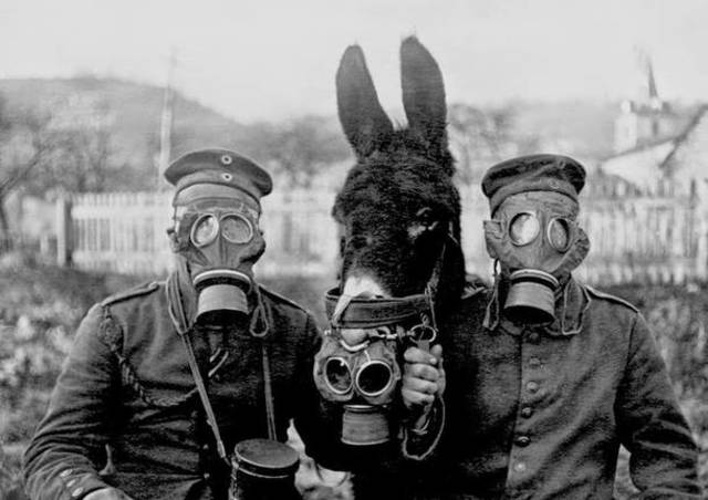 Primera Guerra Mundial