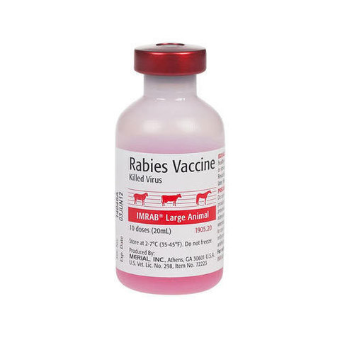 FIRST RABIES VACCINE