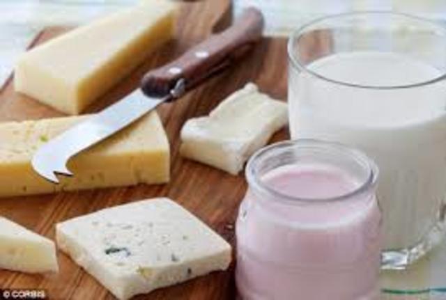 Yogurt and cheese made with lactic acid-producing bacteria by virus cultures.