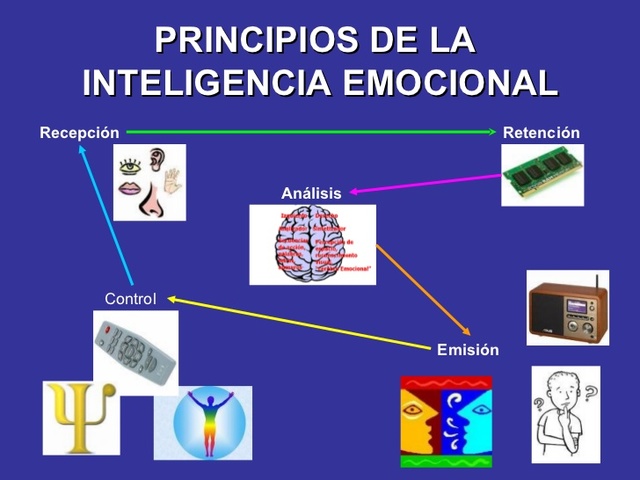 Principios De La Inteligencia Emocional