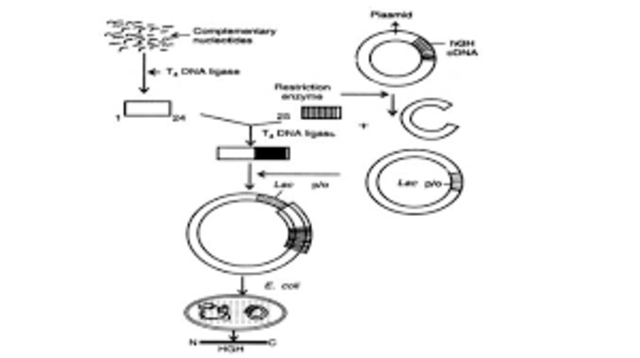 First Successful Recombinant DNA