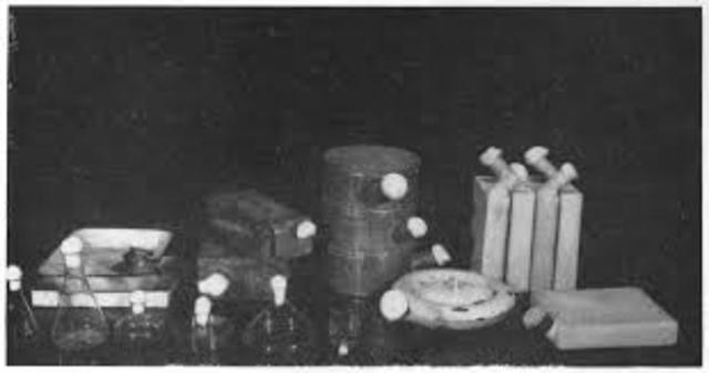 Purifying Penicillin