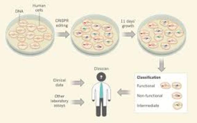 Complete Fetal Genome