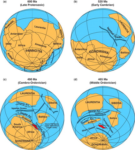 Periodo de Cambios pertenecientes a los Australopithecus.