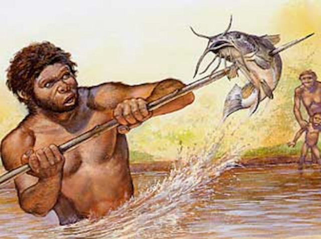 Las pesca y el inicio de la domesticación.