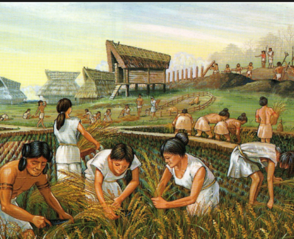 Nacimiento de la Agricultura.