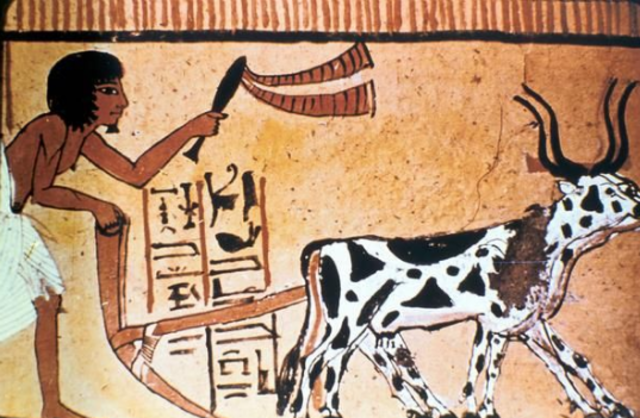 El arado, la rueda y las tierras fértiles.