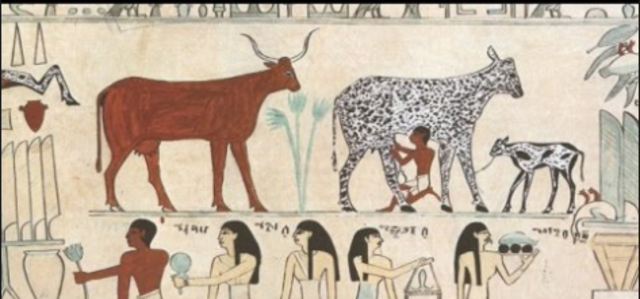 La Domesticación en Oriente