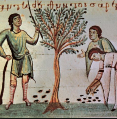 El jamó ibérico y el olivo hispánico.