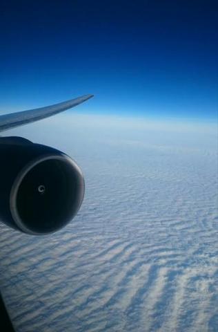 Margarita Alatorre Sainz