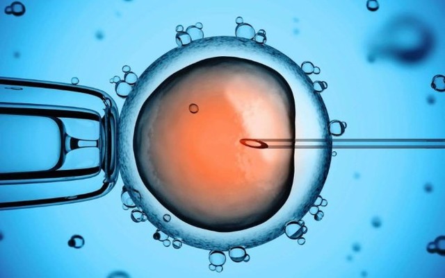 Fertilización in vitro