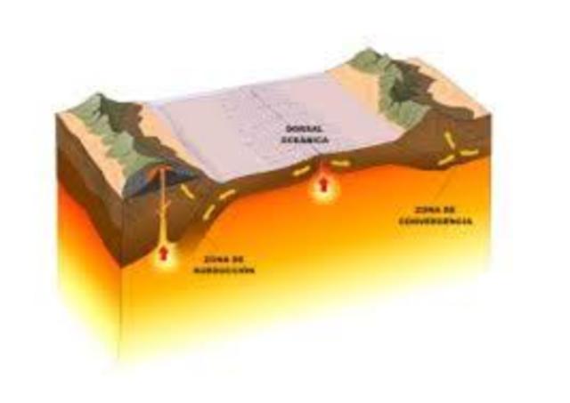 Teoría fijista: Contraccionismo