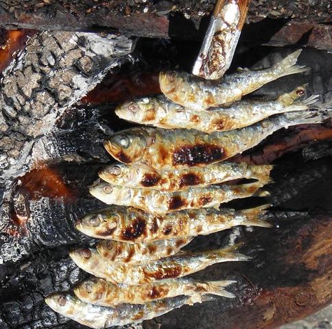 Fenicios: animales y carne