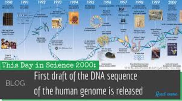 Rough Draft of the Human Genome