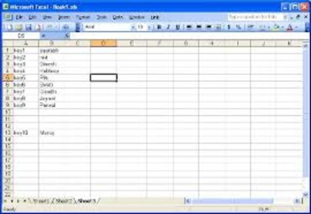 Excel 11.0