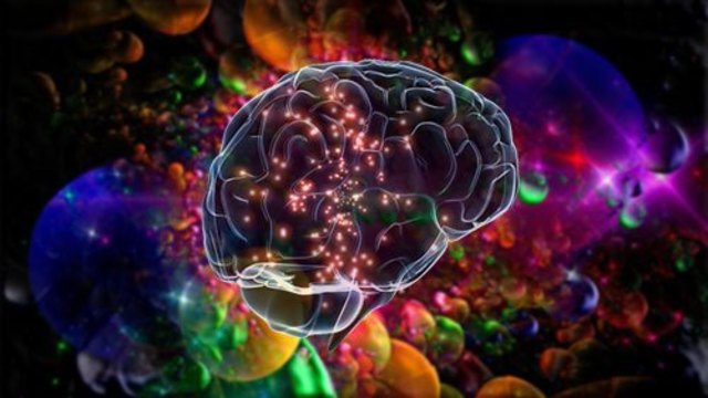 VII. LO BIOLÓGICO DE LA TRADICIÓN