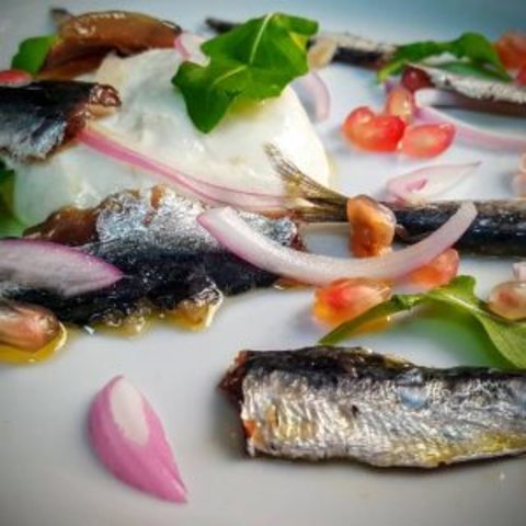 Cartagineses: Los métodos de pesca y conserva del pescado.