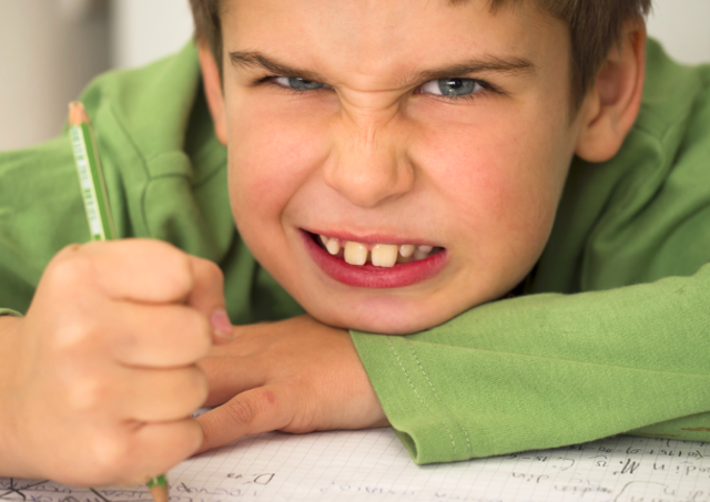 Daniel R.R. v. State Board of Education