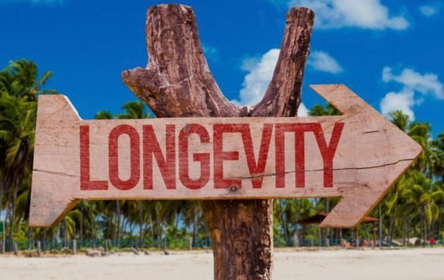 Longevity of Org (2004)