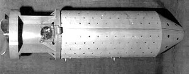 Bomba de murciélago