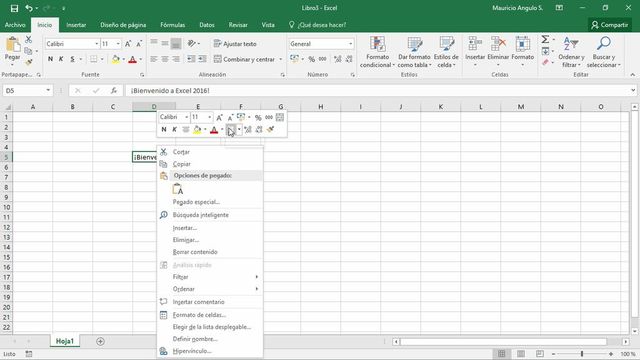 Excel 2016