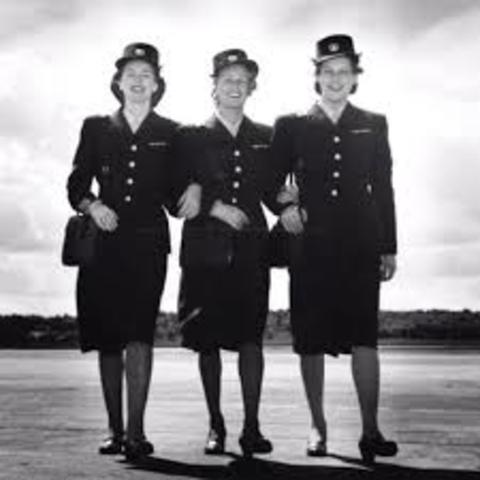 1950 sobrecargos como atractivo de volar