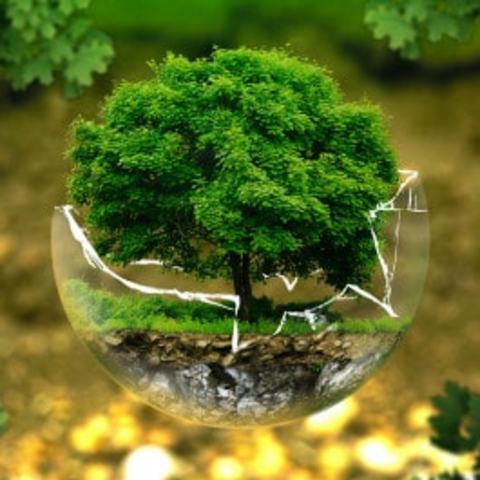 Environmental Impact Assessment