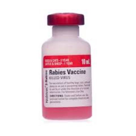 Rabies Vaccine