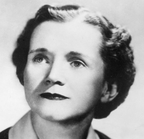 Rachel Carson warns the US about DDT
