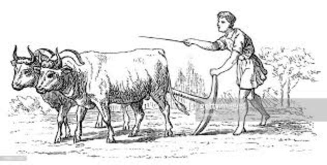 Beginning of New World Agriculture