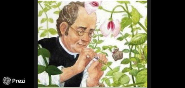 Gregor Mendel