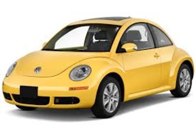 BEETLE DEL 2010