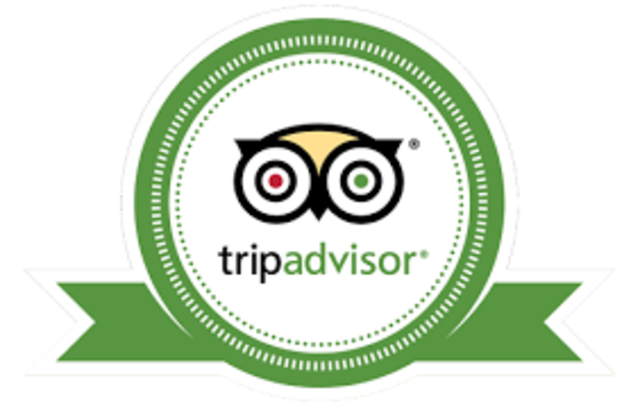 Nace Tripadvidor y Metabuscadores como Kayak