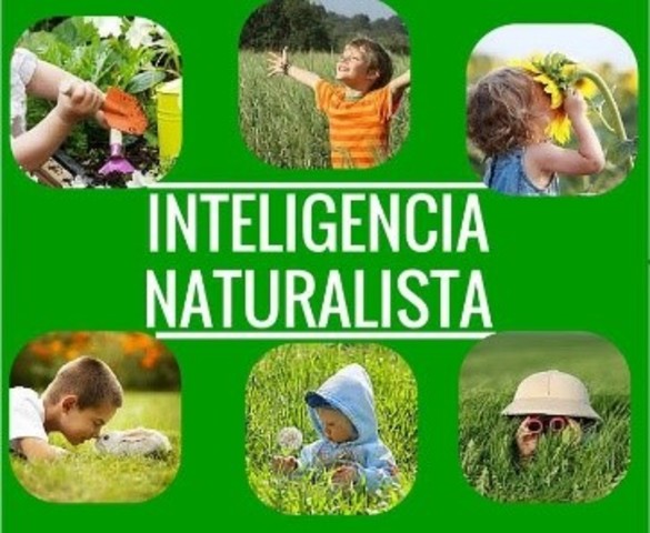 INTELIGENCIA NATURALISTA