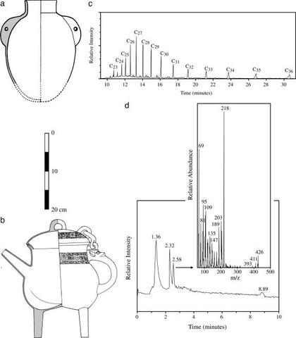 FERMENTATION DISCOVERED