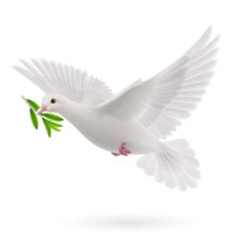 Aparició dels centres catòlics