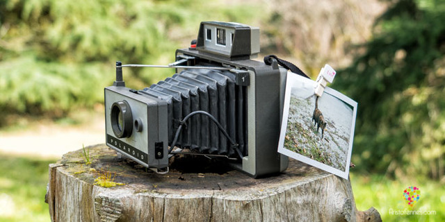 Revelado instantáneo