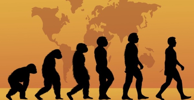 Evolución hacia el Australopithecus.
