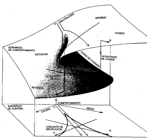 René Thom, E.C. Zeeman