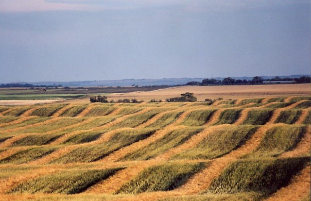 Life on the Prairies